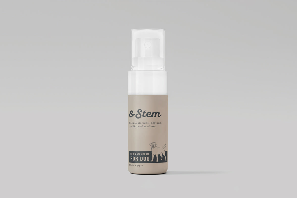 すぐったレディース福袋 nstem_cream.jpg?v=1692928875 サプリメント