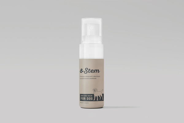 nstem_cream_grande.jpg?v= nstem_cream_grande.jpg?v=